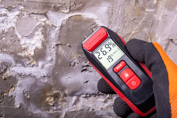 Mold Testing and Removal in Waldport, OR